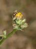 89758 – Photo : David Demerges – France (31)