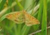 89715 – Photo : Patrick Decreus – France (93)