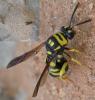 89237 – Photo : Christian Widmann – Grèce