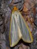 89539 – Photo : Pascal Vigneron – France (52)