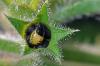89541 – Photo : Christophe Quintin – France (22)