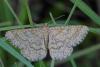 89107 – Photo : Marc Solari – France (68)