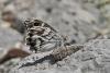 89476 – Photo : Thierry Madigou – France (07)