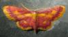 89120 – Photo : Axel Dehalleux – France (89)