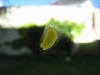89860 – Photo : Anonyme – France (44)