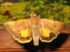 89004 – Photo : Axel Dehalleux – France (89)
