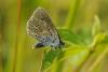 89041 – Photo : C.gager – France (36)