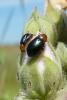 89799 – Photo : Patrick Le Mao – France (22)