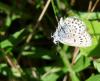 89028 – Photo : Thierry M. – France (25)