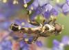 9393 – Photo : Pierre Duhem – France (75)