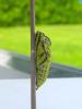 9735 – Photo : didier evrard – France (05)