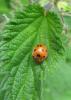 9479 – Photo : pouch – France (14)