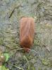 9543 – Photo : pouch – France (76)