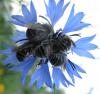 9824 – Photo : Amy – France (81)