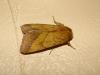 9510 – Photo : Arnaud Jean-Pierre – France (09)