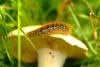 9878 – Photo : Alex – France (01)