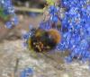 9733 – Photo : Lauzias – France (07)