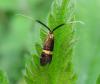 9471 – Photo : pouch – France (76)