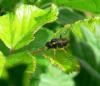 9663 – Photo : Didier Bogey – France (01)