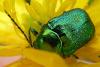 9116 – Photo : Louis Weitten – France (57)