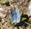 9454 – Photo : Florent – France (07)