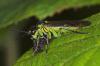 9839 – Photo : microbe – France (62)