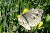 90864 – Photo : Patrick Le Mao – France (73)