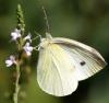 90478 – Photo : christine le fur – France (91)