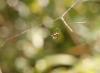 90377 – Photo : jean louis Besson – France (06)