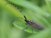 90123 – Photo : Sylvain Houpert – France (91)