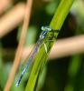 90127 – Photo : Josselyne Bayle – France (33)