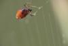 90688 – Photo : Patrice Deramaix – Portugal