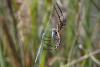 90686 – Photo : Patrice Deramaix – Portugal