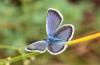90371 – Photo : Pierre SENGEZ – France (04)