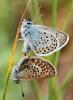 90370 – Photo : Pierre SENGEZ – France (04)