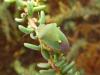 90590 – Photo : Sylvain Fadda – France (13)