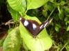 90872 – Photo : X.leen – Thaïlande