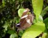 90873 – Photo : X.leen – Thaïlande