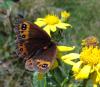 90032 – Photo : Arnaud Jean-Pierre – France (09)