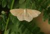 90511 – Photo : Michel Mathieu – France (14)