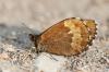 90027 – Photo : Pierre SENGEZ – France (04)