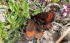 90143 – Photo : Pierre SENGEZ – France (04)