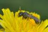 90141 – Photo : Christophe Quintin – France (22)