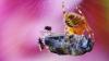 90638 – Photo : Jean Pezzali – France (22)
