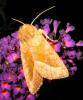90504 – Photo : Axel Dehalleux – France (89)