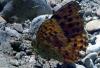 90848 – Photo : Sabatino Ugo – France (84)