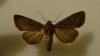 90694 – Photo : Emmanuel Macé – France (04)