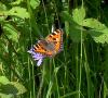 90479 – Photo : Patrick Decreus – France (93)
