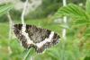 90807 – Photo : Patrick Le Mao – France (73)