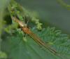 90385 – Photo : Josselyne Bayle – France (09)